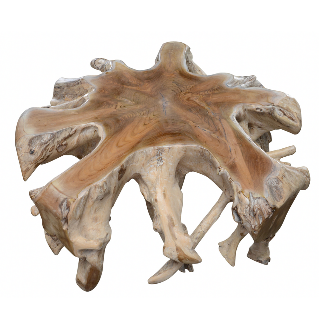 CYPRESS ROOT COFFEE TABLE - MAK & CO